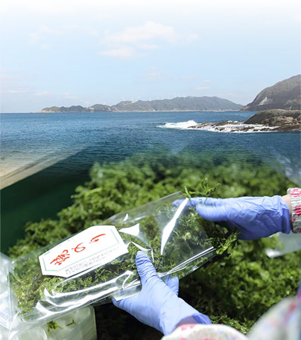 製造のこだわり